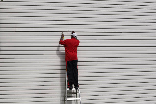 Best Steel Siding Installation  in Butler, OH